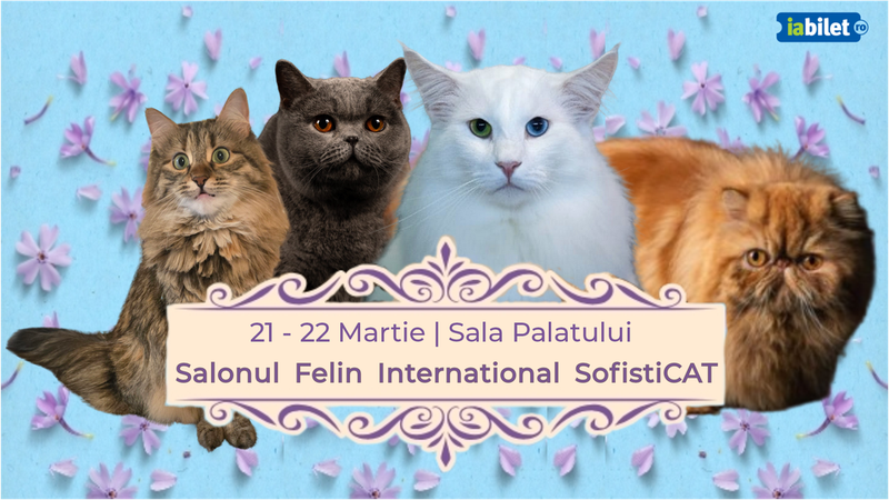 Salonul Felin International SofistiCAT