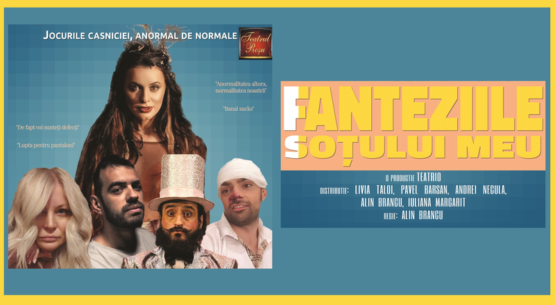 Timisoara: Fanteziile sotului meu