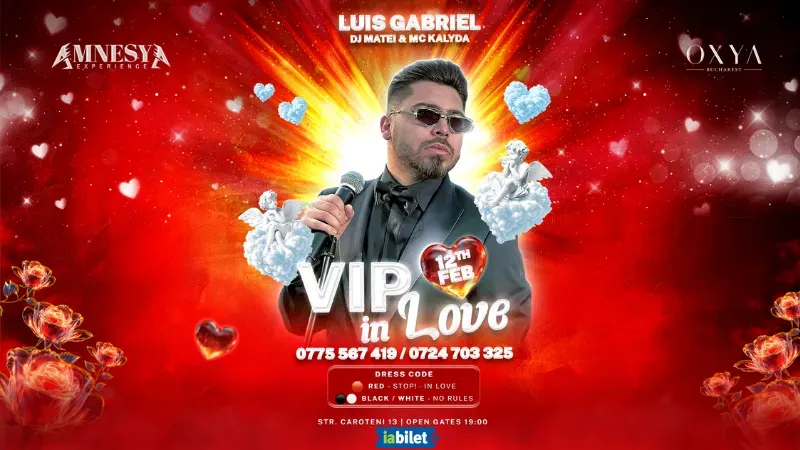 Vip in love party