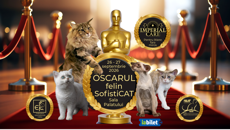 Salonul Felin International SofistiCAT