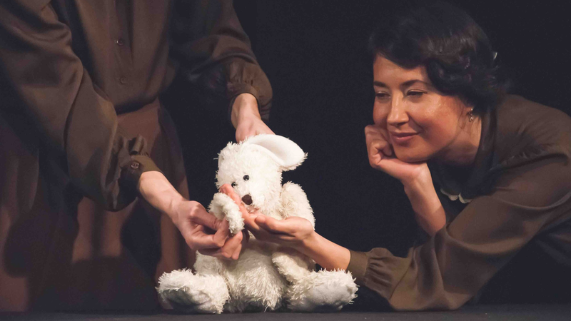 Petrosani: Iepurele Alb