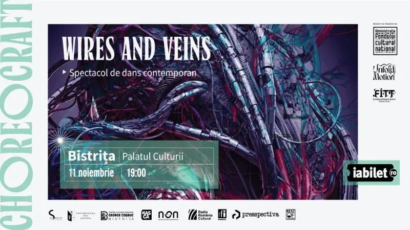 Bistrita: Wires and Veins - Spectacol de dans contemporan (Choreocraft)