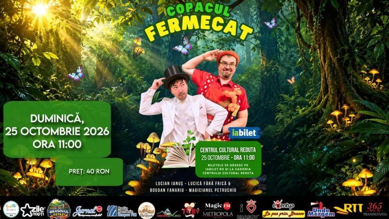 Brasov: Copacul fermecat