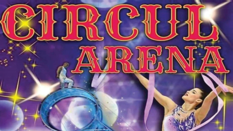 Targoviste: Spectacol de circ