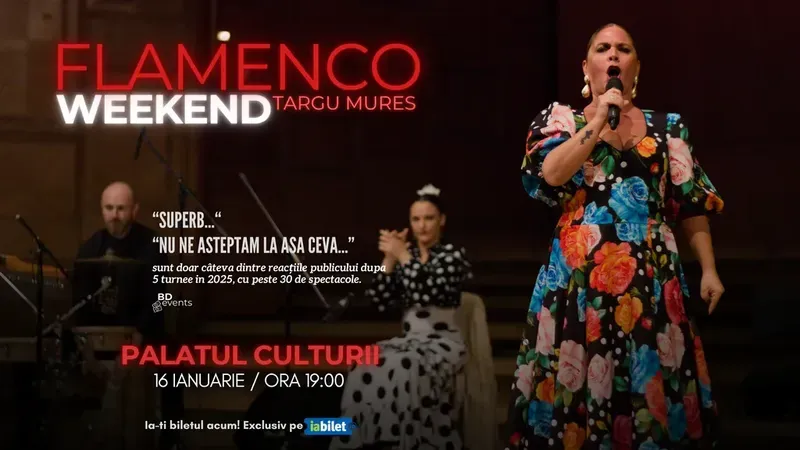 Targu Mures: Flamenco Weekend