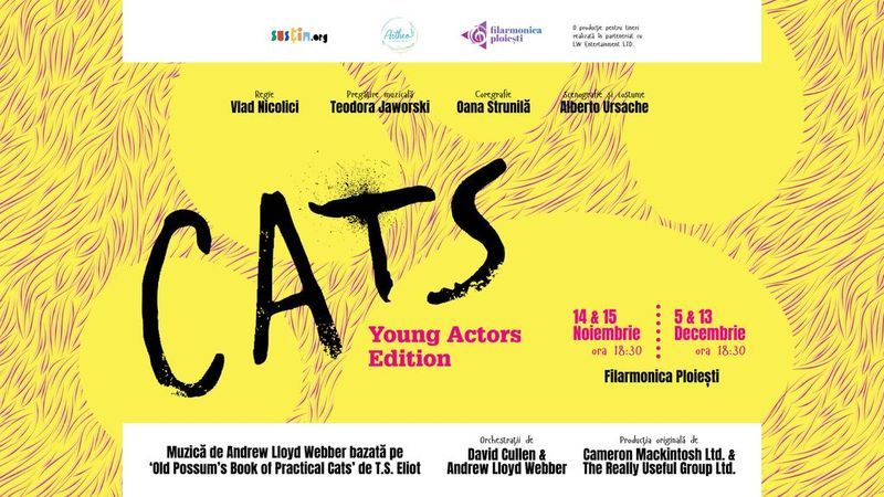 Ploiesti: Cats - Young Actors Edition