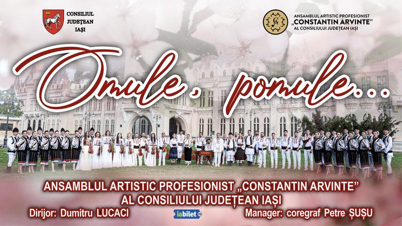 Iasi: Omule, pomule...