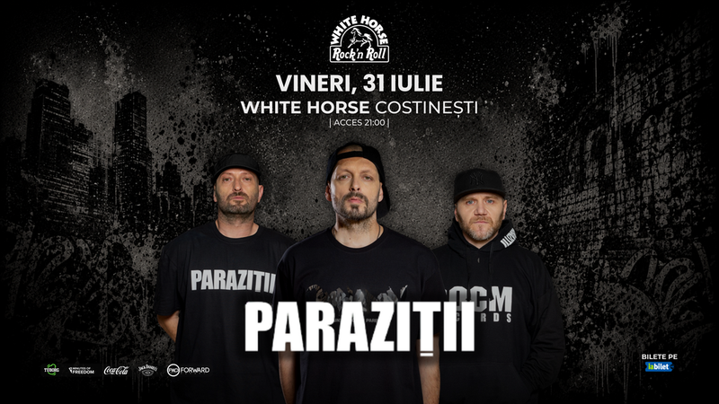 Costinesti: Concert Parazitii