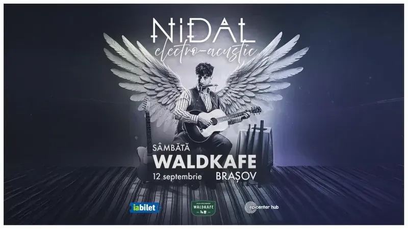 Brasov: Concert Nidal