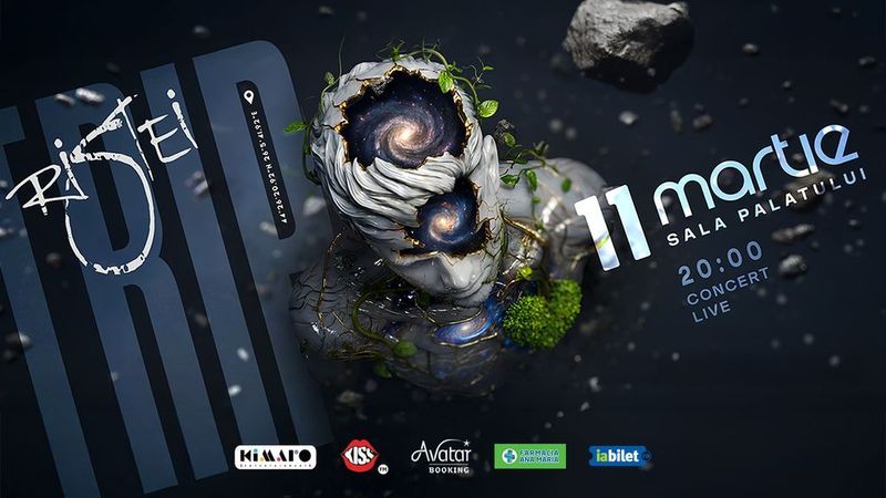 Concert Florin Ristei