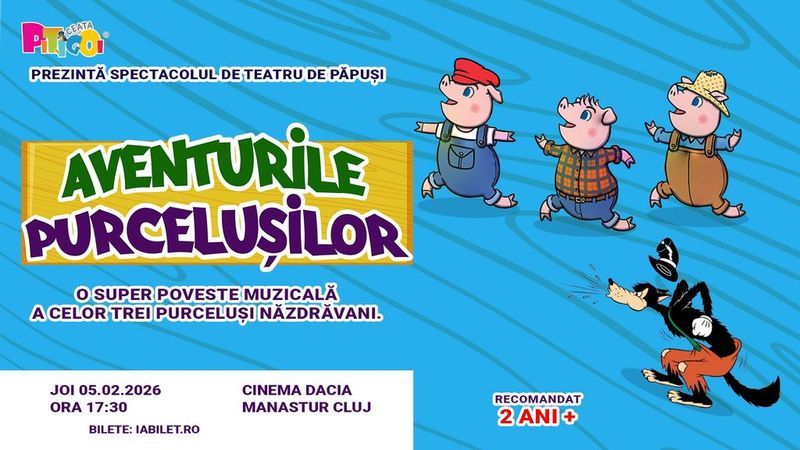 Cluj-Napoca: Aventurile purcelusilor