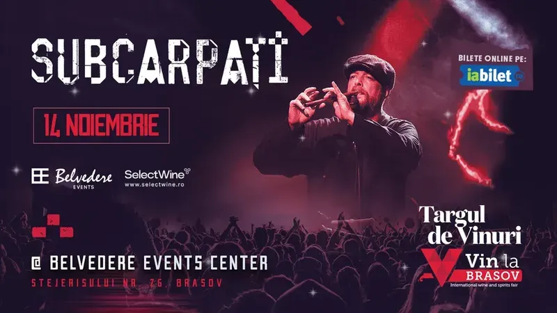 Concert SUBCARPATI @ Vin la Brașov