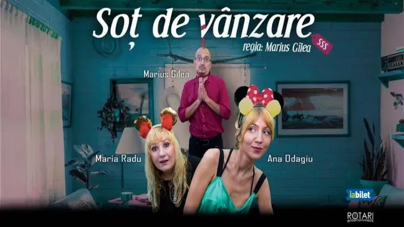 Bistrița: Soț de vânzare